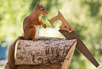 木工手工工具大全，手工木工工具圖片