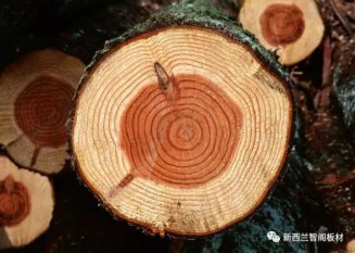你知道木材的性格嗎？談?wù)勀静呐c人類(lèi)的關(guān)系演變